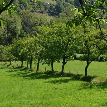 Domaine De Jouani * Villecomtal