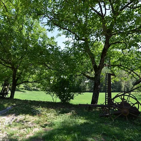 Domaine De Jouani Villecomtal