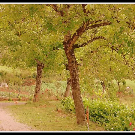 펜션 Domaine De Jouani *