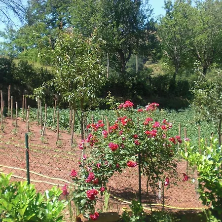 펜션 Domaine De Jouani Villecomtal