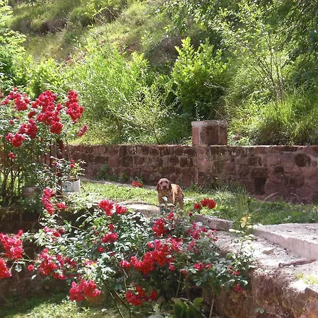 Domaine De Jouani