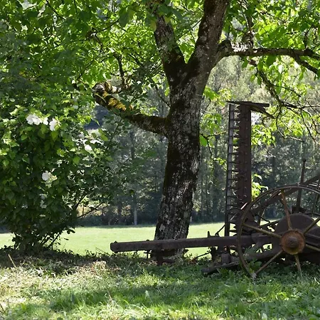 펜션 Domaine De Jouani Villecomtal